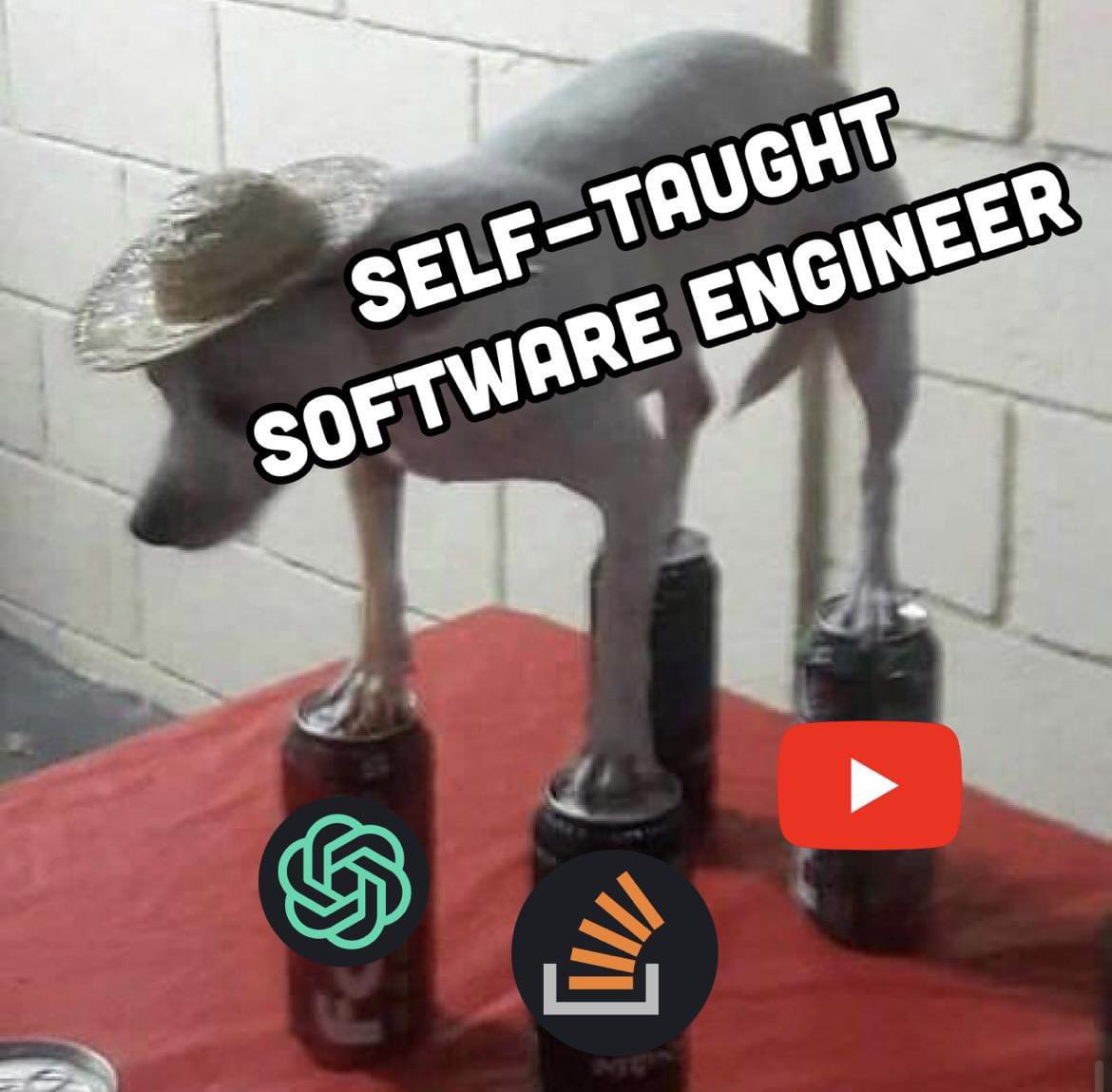 daboigbae's tweet image. Are you a self taught programmer?