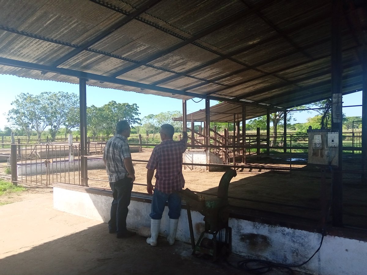 Desarrolla @RoberNoaFrometa funcionario de CC_PCC de la oficina de Asuntos Religiosos recorrido en #Camagüey  por Autoconsumo y Taller de silla de rueda de la Iglesia Católica. #JuntosPodemos @bello_caridad @RoberNoaFrometa @FHHernndez1 @YaimyrB @PartidoPCC