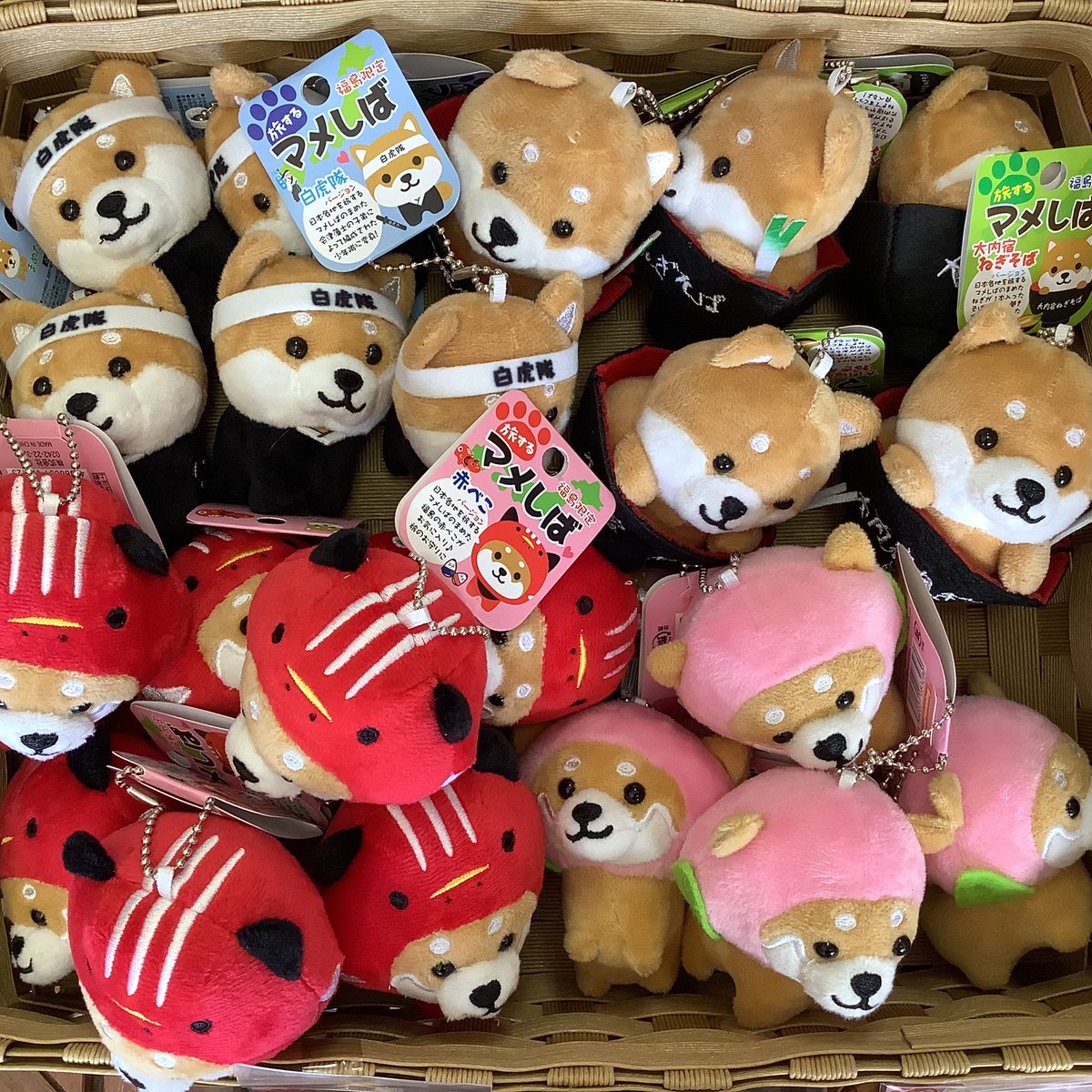 マメシバ - Search / X