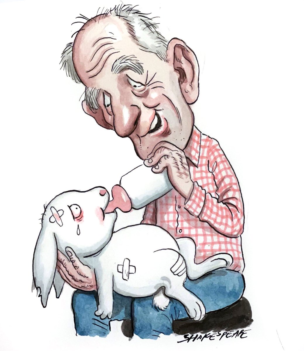 Let the healing begin! Wayne Bennett returns to the Rabbitohs