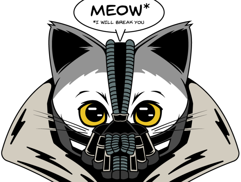BaneCatonSOL's tweet photo. @Noahhweb3 Join the league of shadows #BANECAT #100x https://t.co/USLsXEmMUn