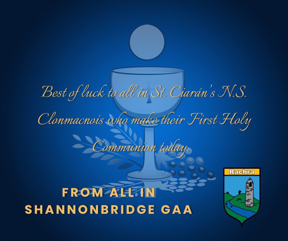 Shannonbridge GAA tweet media