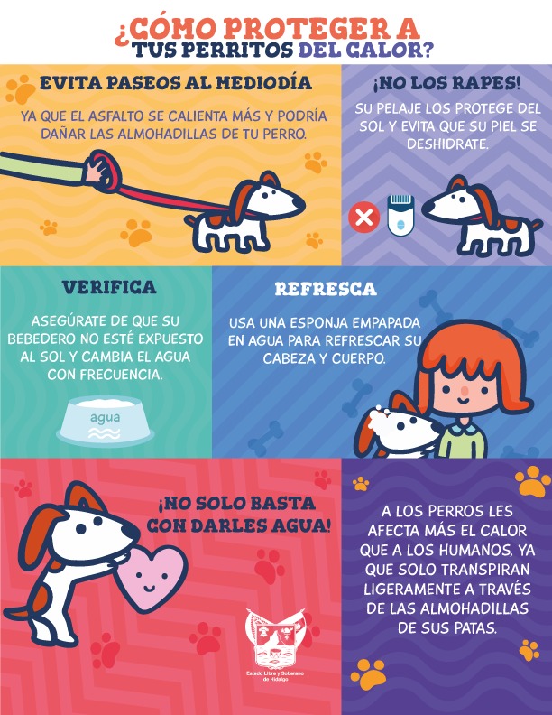 ☀️ ¡Evita que tu mascota sufra un #golpedecalor! Sigue estas recomendaciones: 🐾 Paséalo antes de que salga el sol o cayendo la tarde. Revisa constantemente que su bebedero tenga suficiente agua. Refresca sus huellitas, nariz, cabeza y cuerpo para mantenerlo fresco. ¡Cuídalo! 🐶