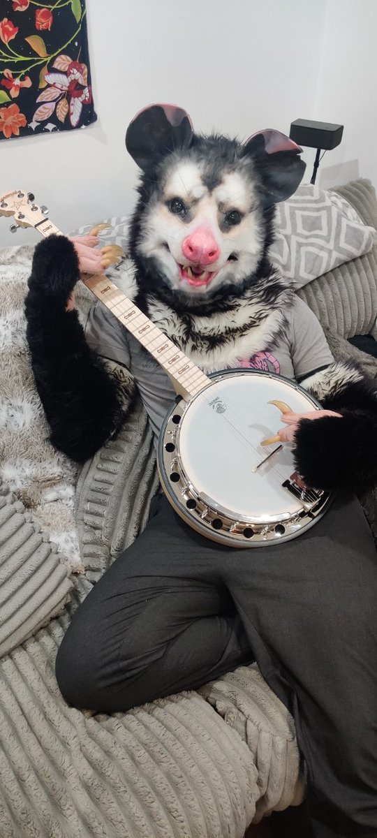 I got a new banjo. #FursuitFriday Suit by @MotleyCrowMasks