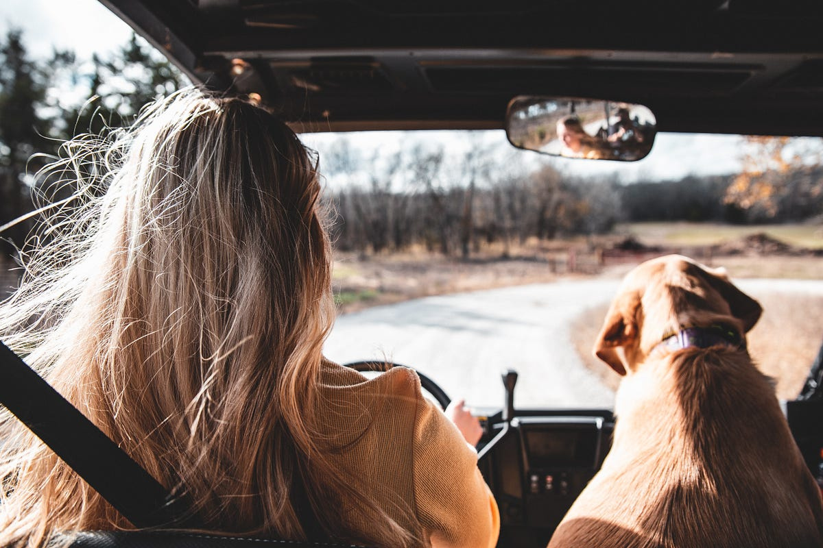 DeeDeeCreative_'s tweet photo. Take an unplanned road trip!
If you have a car, then it’s time to fill up the fuel tank, jump behind the wheel, and see where the road takes you. #adventuretravel #microtravel
https://t.co/5jLc1PJ00h https://t.co/FGmwmNl8w0