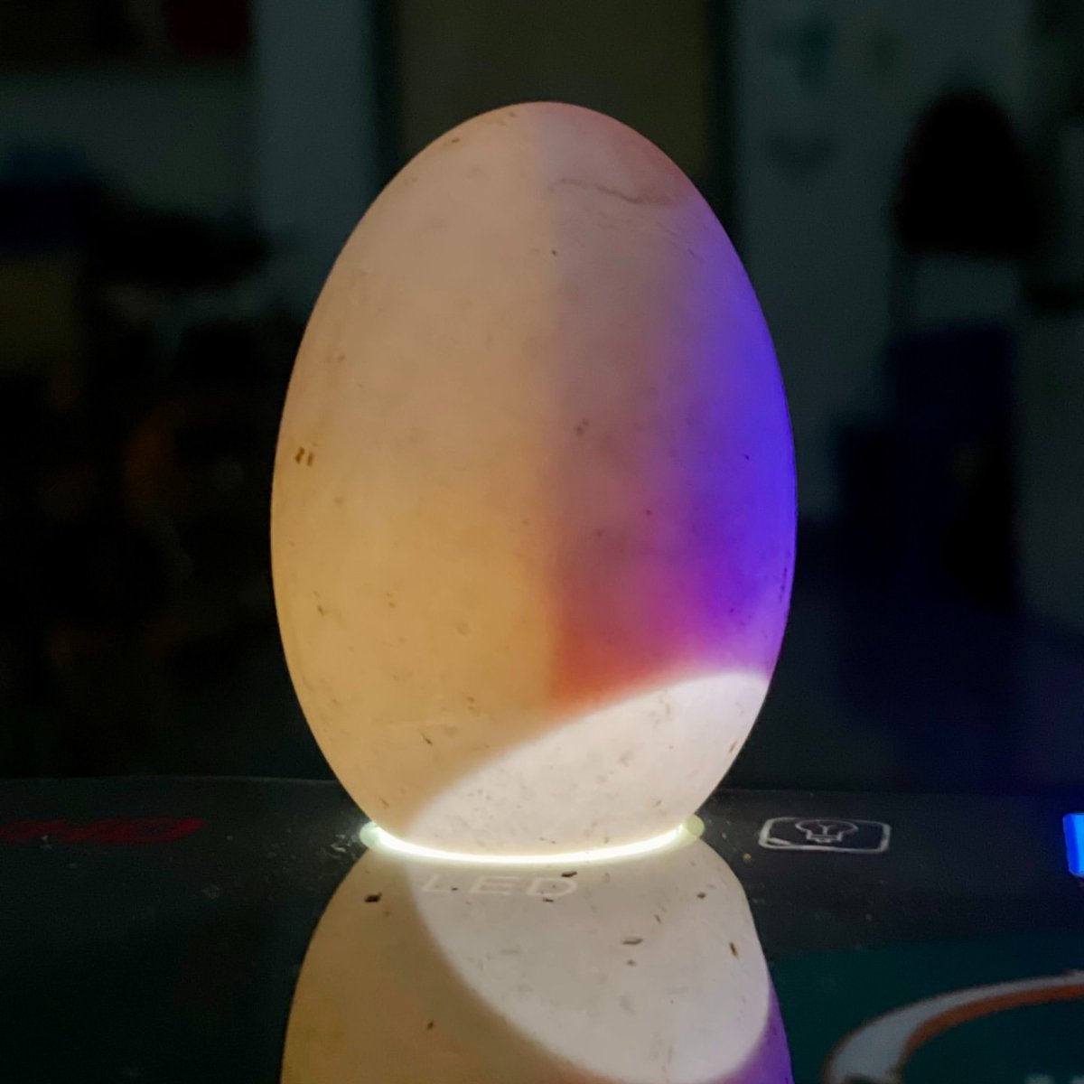 Two lucky ducklings have joined Grade 3 at Major General Griesbach School! 🦆🦆 While waiting eagerly for the duck eggs to hatch, students observed the embryos' real-time growth through regular candling sessions. Such an egg-citing, hands-on learning adventure! #EPSB #yeg