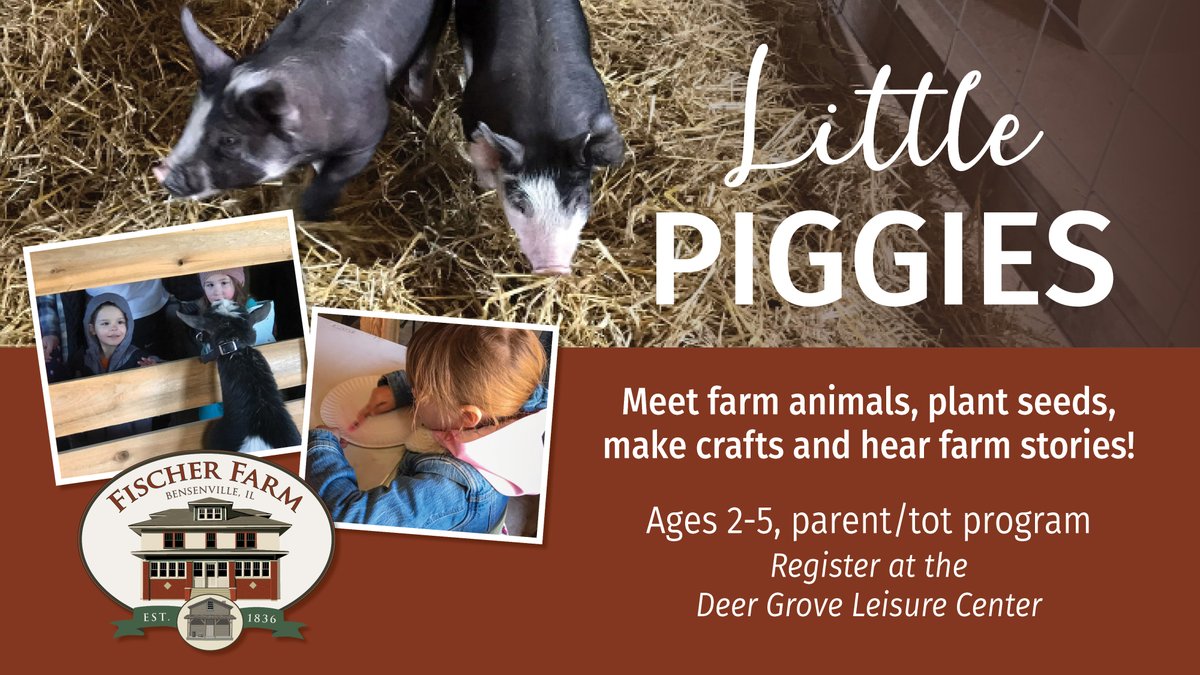 #ParentsAndTots come join along for #LittlePiggies June Session on Friday, June 7. Enjoy the #FischerFarm animals, fun crafts and silly farm stories. Tots will get the chance to socialize with each other throughout the day! Registration deadline is Friday, May 31.