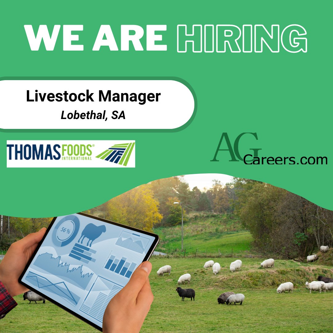 .@ThomasFoods International is #Hiring a Livestock Manager!

This role will implement management practices to optimize animal welfare.

Visit #AgCareers to apply: ow.ly/SBSj50RKbS8