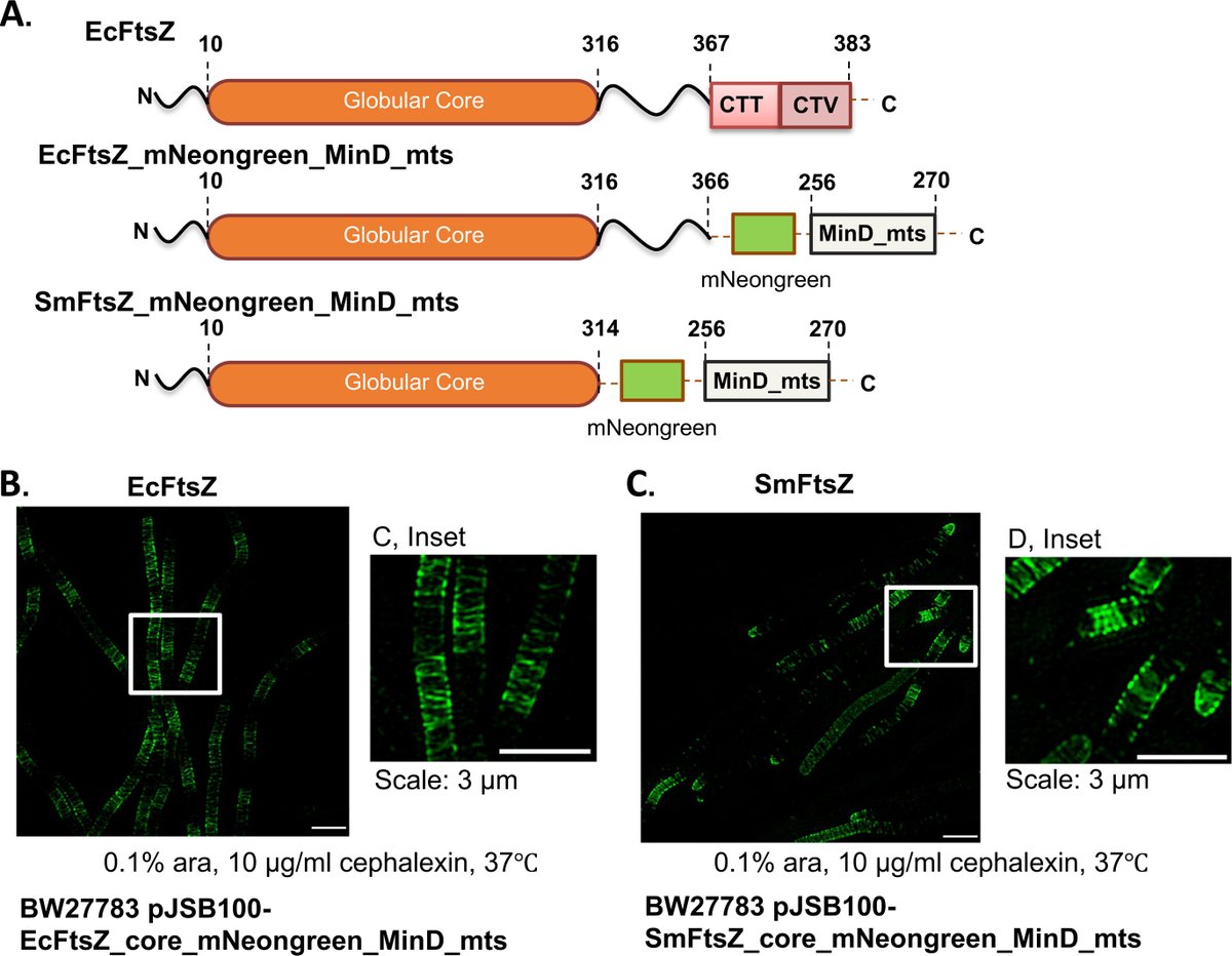 Journal of Biological Chemistry tweet media