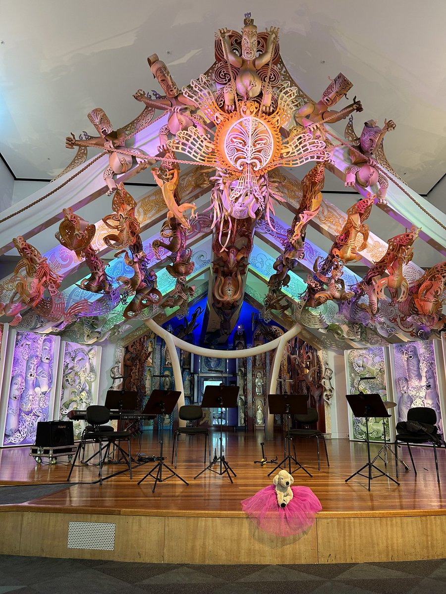 Today’s #dogsdontdoballet venue with @NZSO The beautiful marae at Te Papa museum.