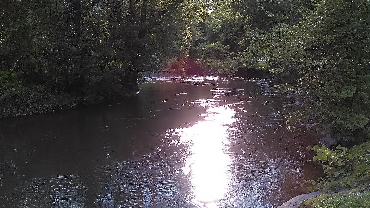 The Kayak River near me is cool and refreshing. Although I'm not feeling adventurous at the moment, I do enjoy the view and the breeze.