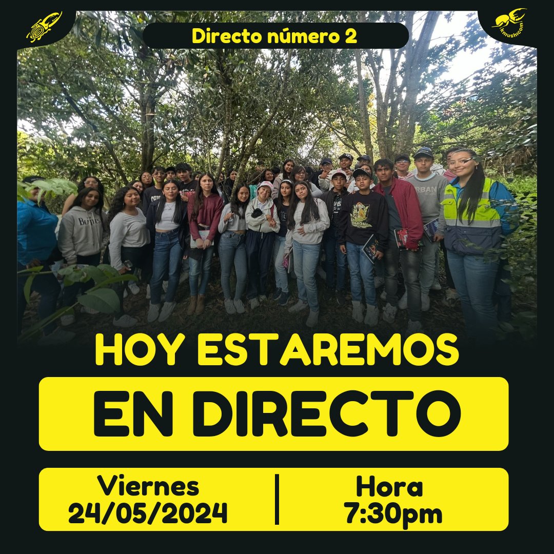 kmushicoin's tweet photo. Hoy estaremos en el segundo directo, hablando sobre las últimas dos semanas que se realizaron actividades tantos de #Kmushicoin como #TierraVivaEscarabajos - Los invitamos a suscribirse en el canal para estar atentos. https://t.co/Ilaw9DQIKO https://t.co/072i8vXZVH