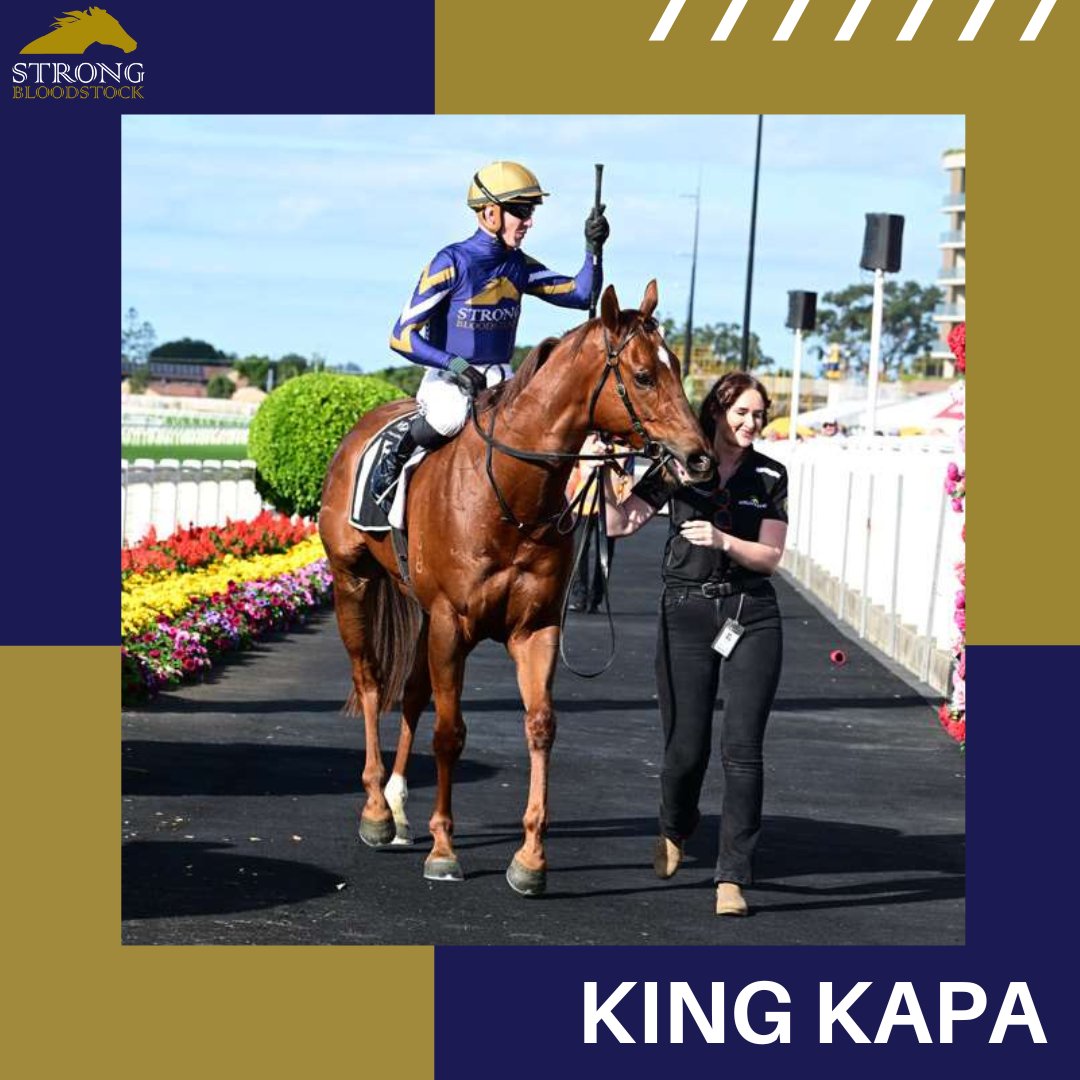 StrongBldStock's tweet photo. ✌️ We have 2 Stakes runners on a big day of racing @brisracingclub

👑 After almost a year away from the races, KING KAPA makes his comeback in the Chief De Beers
✈️ JETTY aims to fly fresh when he tackles the BRC Sprint for @munceracing

Best of luck to all our partners 💪 https://t.co/fQdTlPpwGV