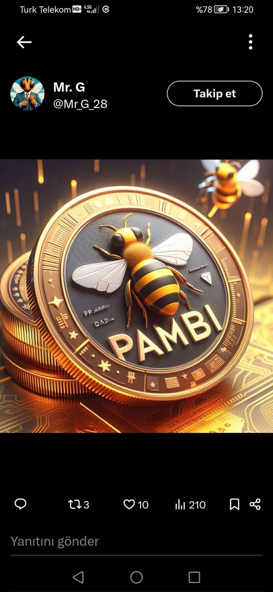 HalitGeyik43515's tweet photo. @DalasReview #pambicoin https://t.co/X3OZxASQKz