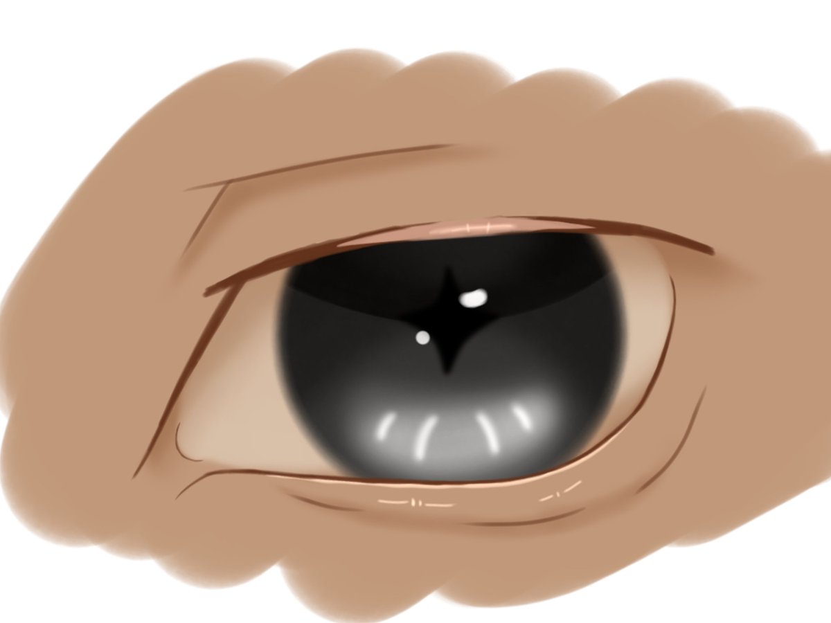 Am currently working on drawing in a more semi-realistic style, so here are two diffrent eye studies!

The first one is the eye of my OC Owen :3