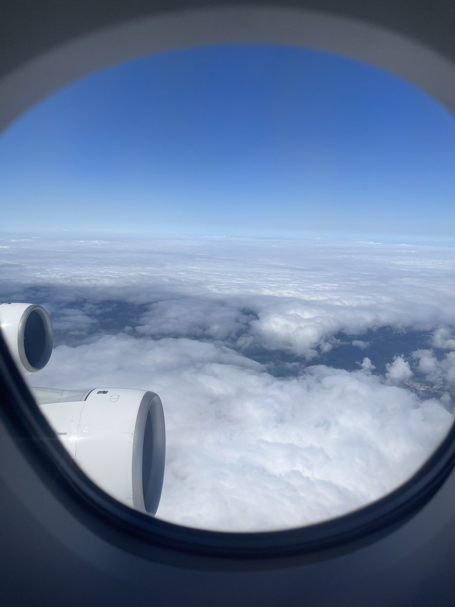 Only <a href="/MSFSofficial/">Microsoft Flight Simulator✈️</a> simmers understand.  Epic clouds settings.