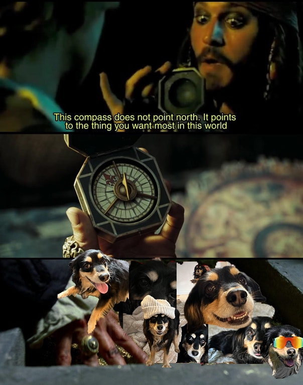 Ruby_On_Sol's tweet image. All roads lead to Ruby