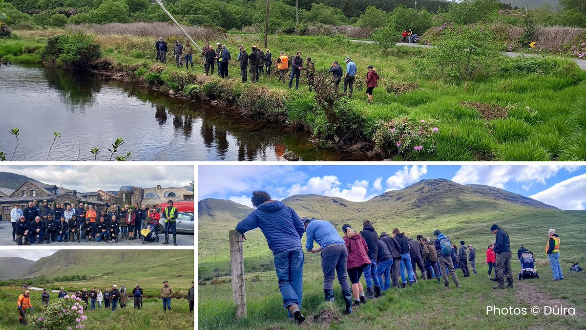 Dúlra (@FORUMConnemara) #NaturaCommunities group hosted an event with talks & a guided walk for #BiodiversityWeek2024 Speakers included reps from @WAN_LIFEIP, FORUM Connemara CLG & Dúlra team.

Well done to all involved in what was a very informative morning!

 #protectnature