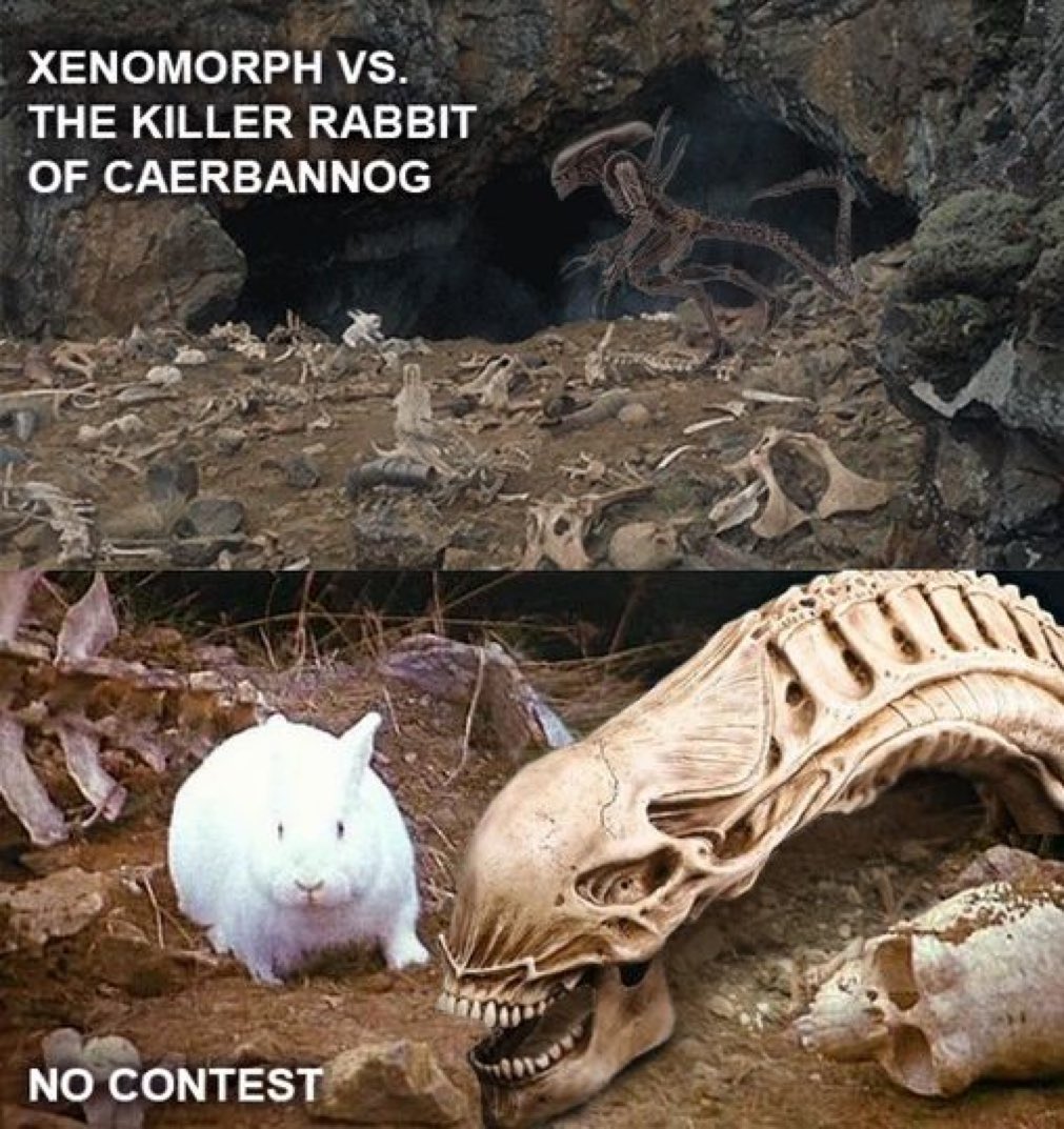 Garrett Black tweet media