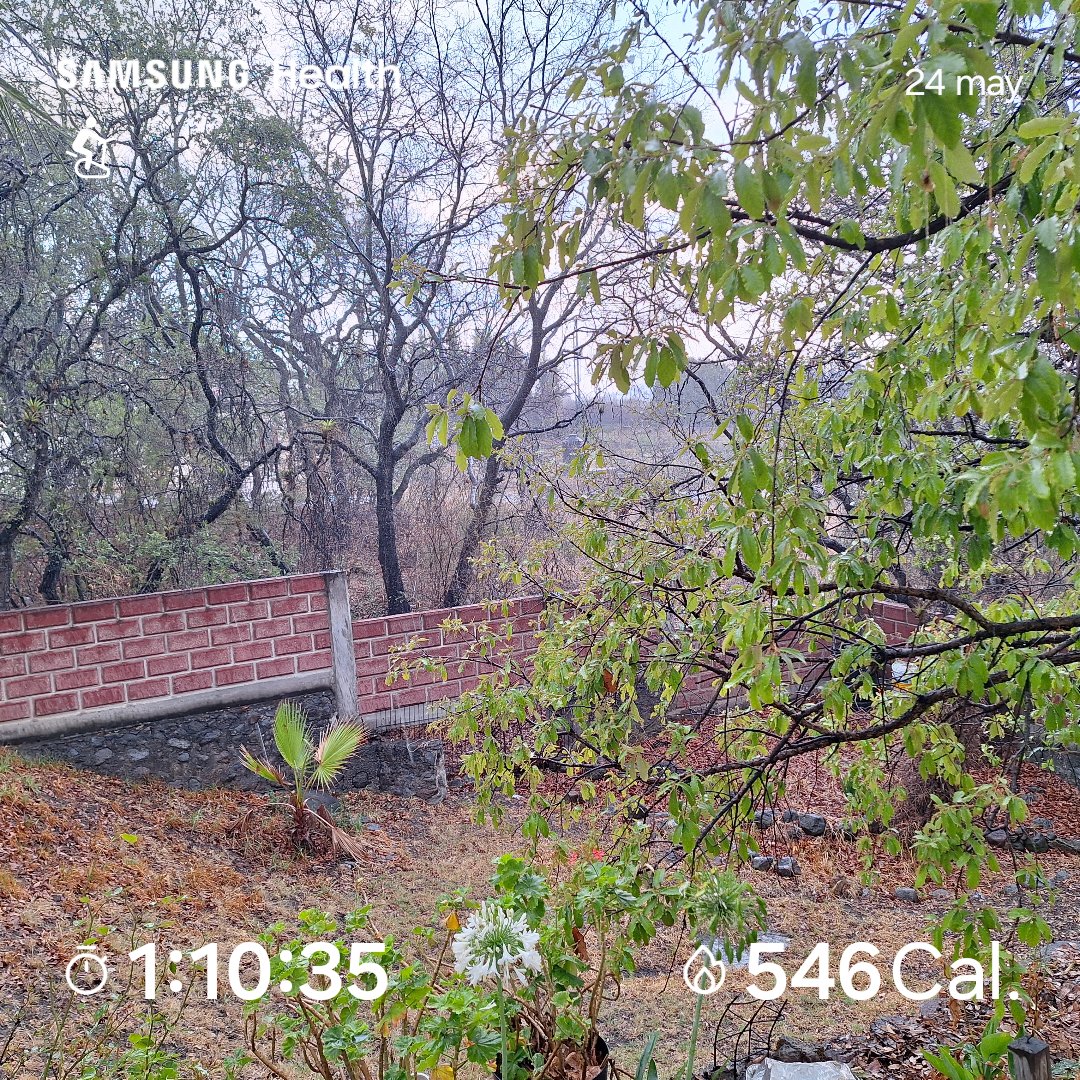 #FelizViernes
🌧
#SumandoKmx #MeEncantaCorrer
#CorrerSana #ComuniRunners
#TemploRunner #YoElegíCorrer 
#CorrerMeHaEnseñado 
#EntreRunners  💯🏃🏽‍♀️🏃‍♀️🏃🏽‍♀️🏃‍♀️