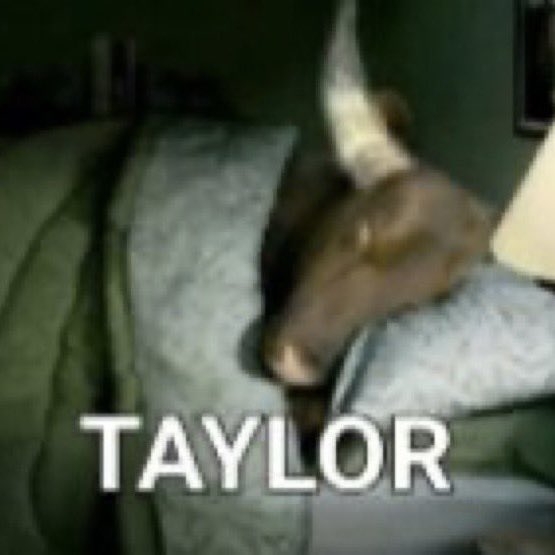actuallyluiz's tweet photo. 🎸 Come Back Be Here x The Way I Loved You x The Other Side Of The Door
🎹 Fresh Out The Slammer x High Infidelity
#TaylorSwiftNaCadeia https://t.co/HvAZdRdCzR