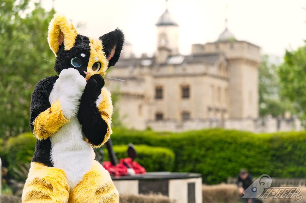 Cat went exploring!

📸 <a href="/_hobber/">hobber</a> 

#fursuitfriday