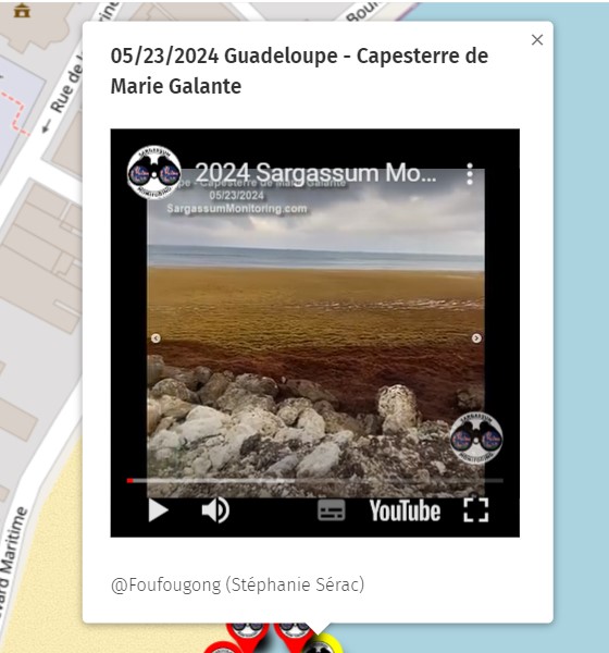 May. 23th 2024 #Guadeloupe - #Capesterre de #MarieGalante

Video on the Official Map 
here--> sargassummonitoring.com

#sargassum #sargasso #sargazo #sargasses #sargassummonitoring #SurveillancedesSargasses #MonitoreodeSargazo #Caraibes #Caribbean #Caribe #CitizenScience