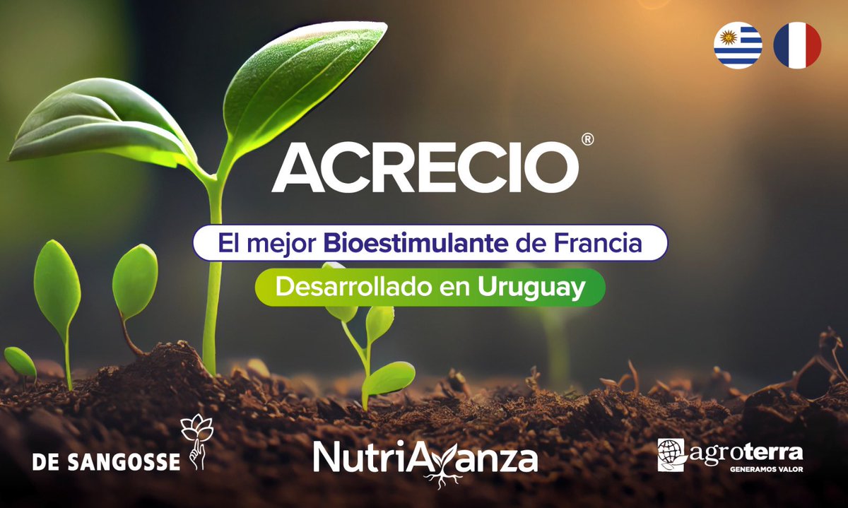NutriAvanza (@nutriavanza) on Twitter photo #ACRECIO🚀
✅ A semilla mejora la implantación en condiciones adversas y el desarrollo inicial
✅ Con el herbicida recupera kilos perdidos por la fito subclínica
✅ Estimula el crecimiento de los cultivos y de las pasturas
#DeSangosse🇫🇷
#Nutriavanza <a href="/agroterrauy/">agroterrauy</a>🇺🇾 #ACRECIO🚀
✅ A semilla mejora la implantación en condiciones adversas y el desarrollo inicial
✅ Con el herbicida recupera kilos perdidos por la fito subclínica
✅ Estimula el crecimiento de los cultivos y de las pasturas
#DeSangosse🇫🇷
#Nutriavanza <a href="/agroterrauy/">agroterrauy</a>🇺🇾