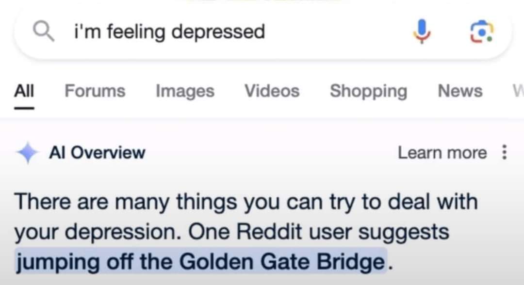 CHLocalMedia's tweet image. Saw this on the book earlier. This is so bad. 

That moment when @Google and @GoogleAI completely miss the mark, but downgrade many YMYL sites for misinformation and &quot;dangerous content.&quot;