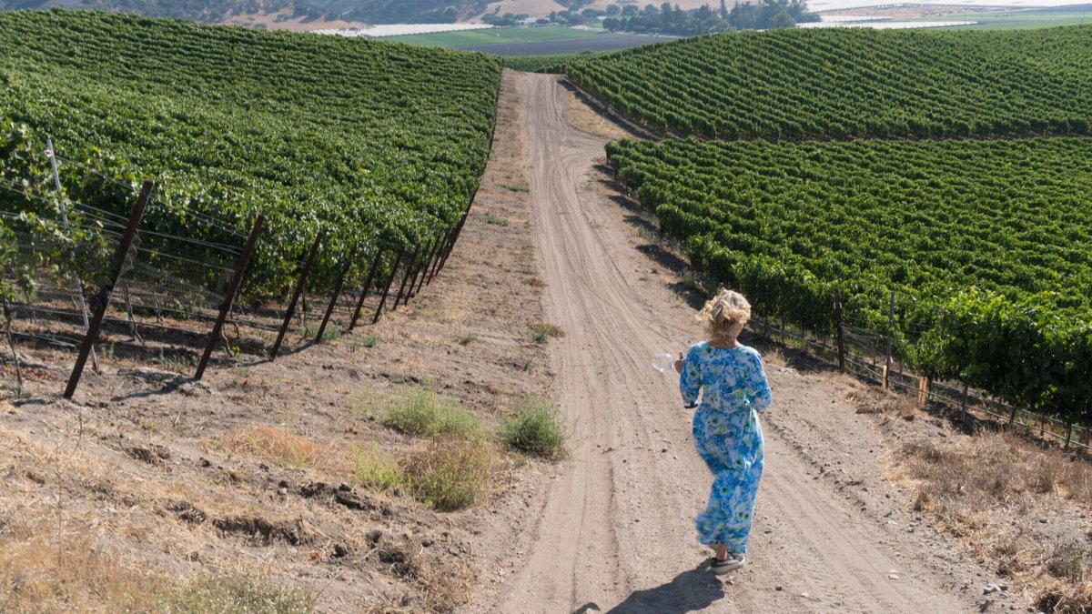 Why I Changed the Name of My Winery 
buff.ly/3wFgBCN (via @SBIndyNews )

Casa Dumetz, the soul of the #LosAlamos wine scene, is now Clementine Carter. 
buff.ly/4ayW94i