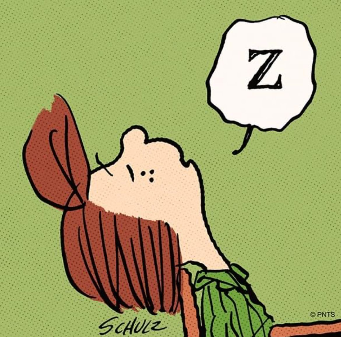 Peanuts_4Fans's tweet photo. Ready for summer vacation #Peanuts https://t.co/4psT42QhSL