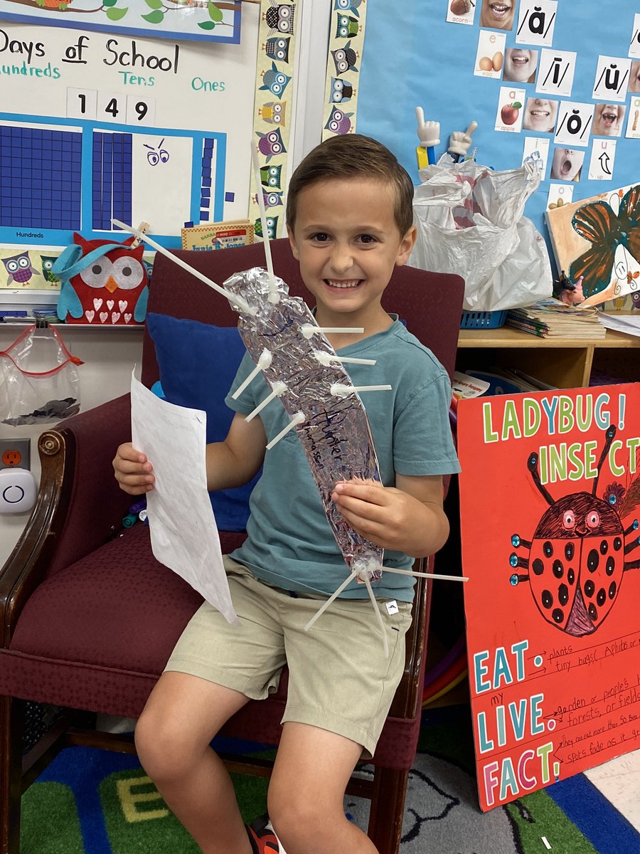 We had SO many amazing insect research projects presented this week! Even had a Google Slide presentation! 🥹🐞🐝 <a href="/Google/">Google</a> #kindergarten