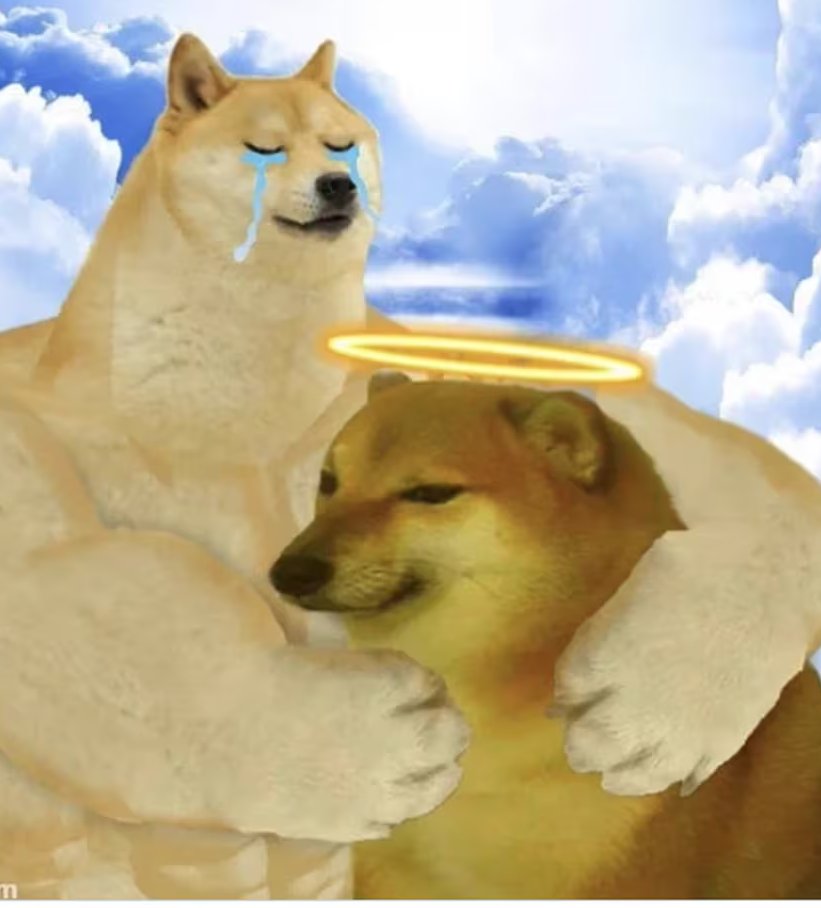 el Doge y el Cheems ya están juntos en el cielo. QEPD Kabosu.