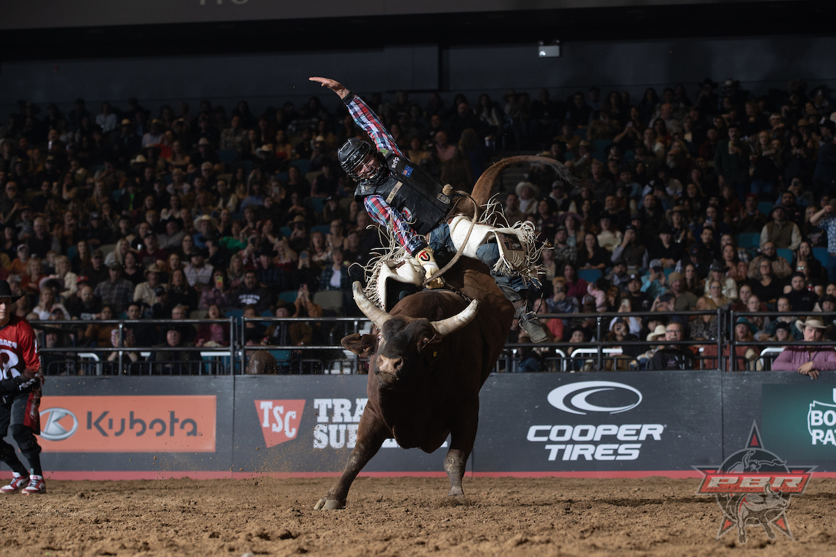 ℙ𝕒𝕚𝕕 𝕠𝕦𝕥 𝕚𝕟 𝟚𝟘𝟚𝟜 :: $𝟙,𝟡𝟘𝟘,𝟘𝟘𝟘

If you are interested in being a part of the new Tour Season, please let us know, as teams will be set by Fall.

Kay-Lee@CBRBull.com

MDBTC > cbrbull.com/#about

Photo by <a href="/BullStockMedia/">Bull Stock Media</a> /<a href="/andresilvaphoto/">Andre Silva</a>