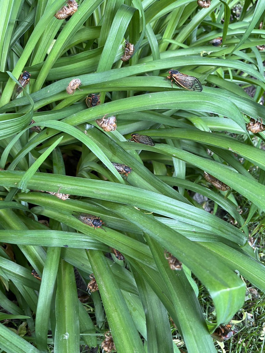 Christopher Steiner (@steinerwriter) on Twitter photo 