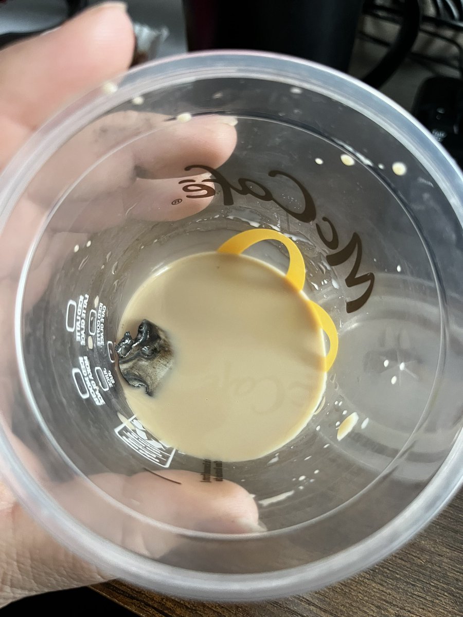 Leah___Murray's tweet photo. Did you know, @McDonaldsCanada appears to be giving out prizes in their iced coffee? 
Mine was a metal hinge! https://t.co/Ba3FLfT7hD