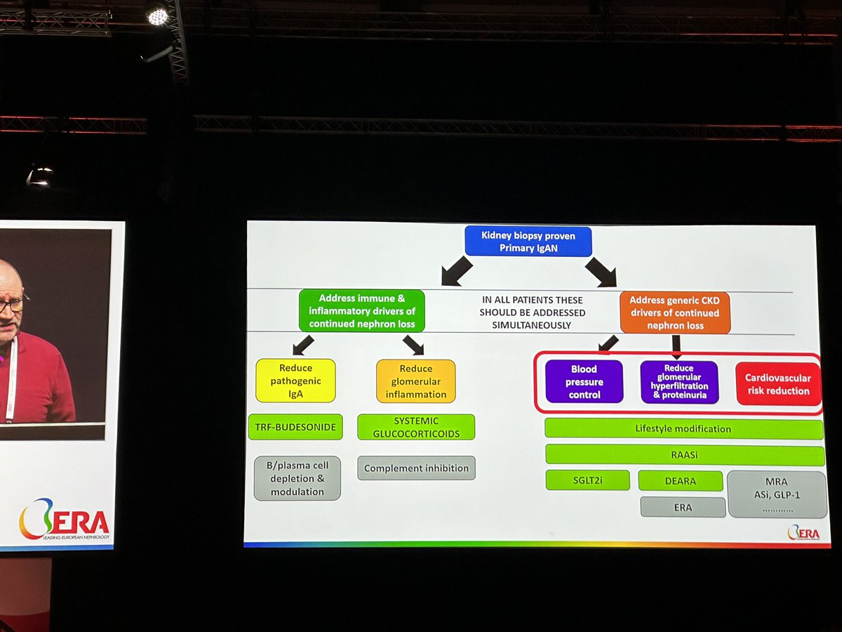 DrAzharAliKhan's tweet photo. What a great talk by Dr Jonathan Barratt, ‘the incidence of IgAN depends on your threshold of doing biopsy’
#ERA24 https://t.co/Btsmh7HhJF