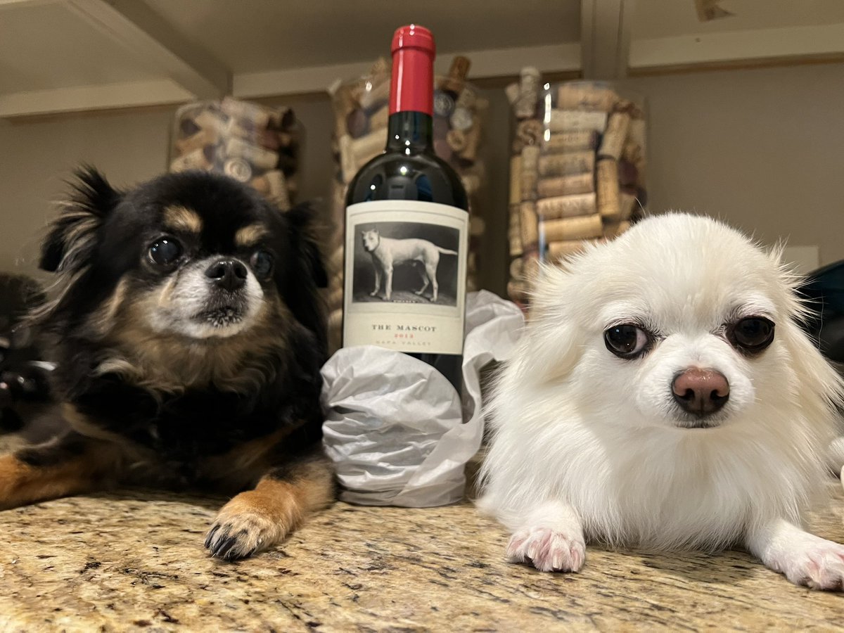 Coastal Cab Critic tweet media