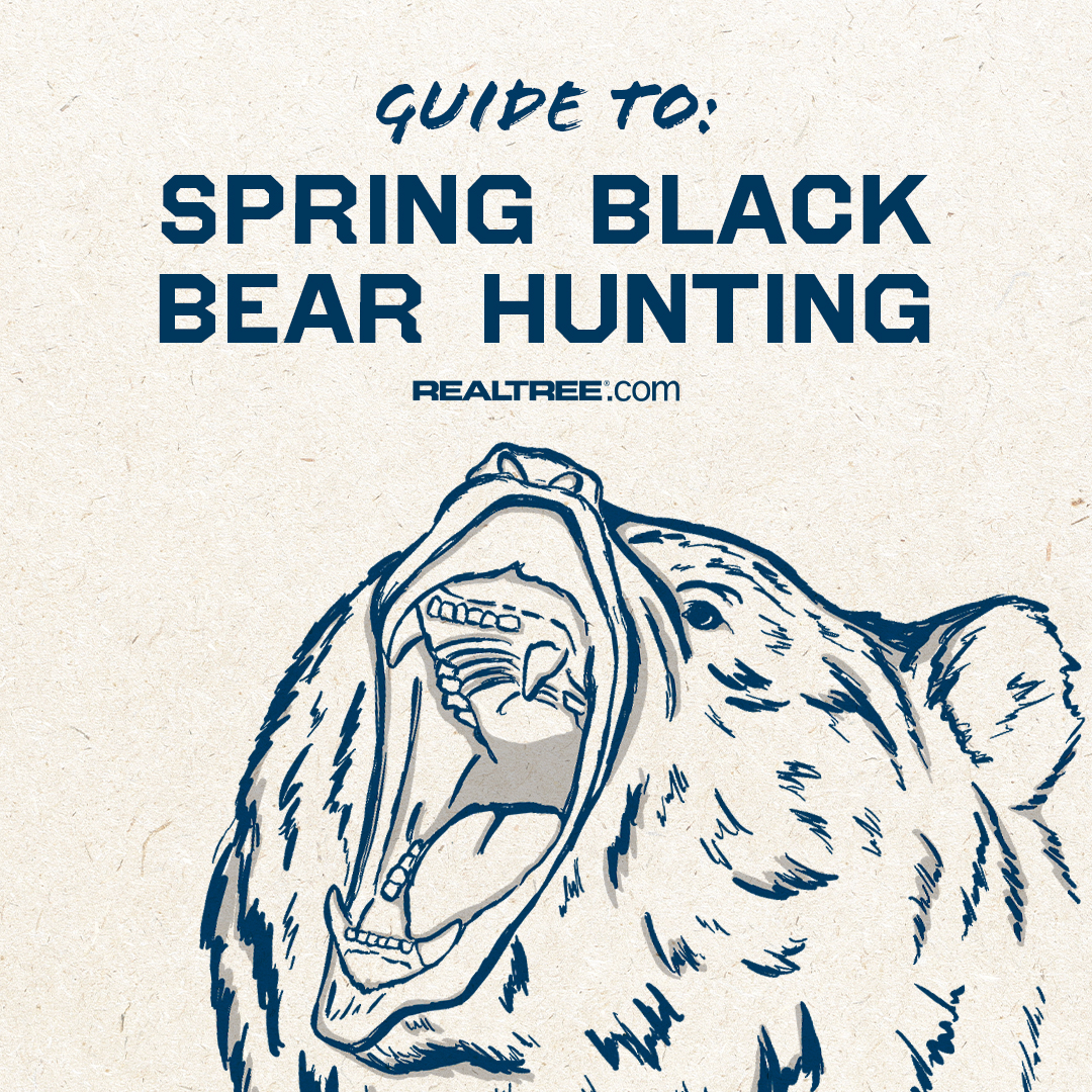 Whether you're running your own bait or hiring an outfitter, these tips will help you seal the deal on a big bruin. Link to learn more 🐻: realtree.me/3WVPHBd #Realtree