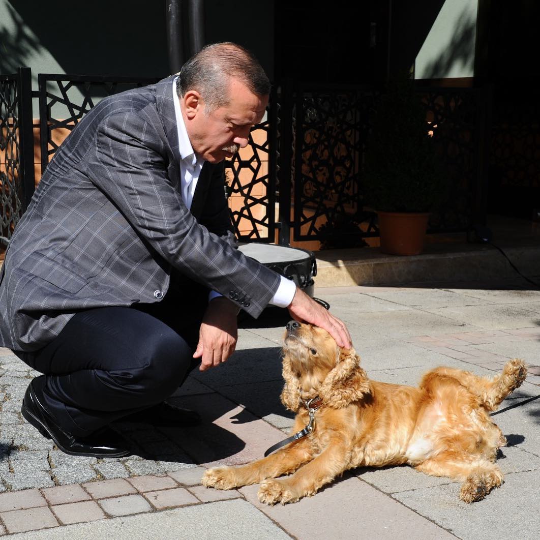 Değerli dostlar.. Tartışmalı yasa teklifini TBMM'ye getirecek olan AK Parti Grup Başkanvekili Sayın Bahadır Yenişehirlioğlu'nun, süreci takip eden pek çok isim gibi beni de aradığını paylaşmıştım sizinle.. Teklife katkısı olabilmesi umuduyla Sayın Yenişehirlioğlu'na arz ettiğim