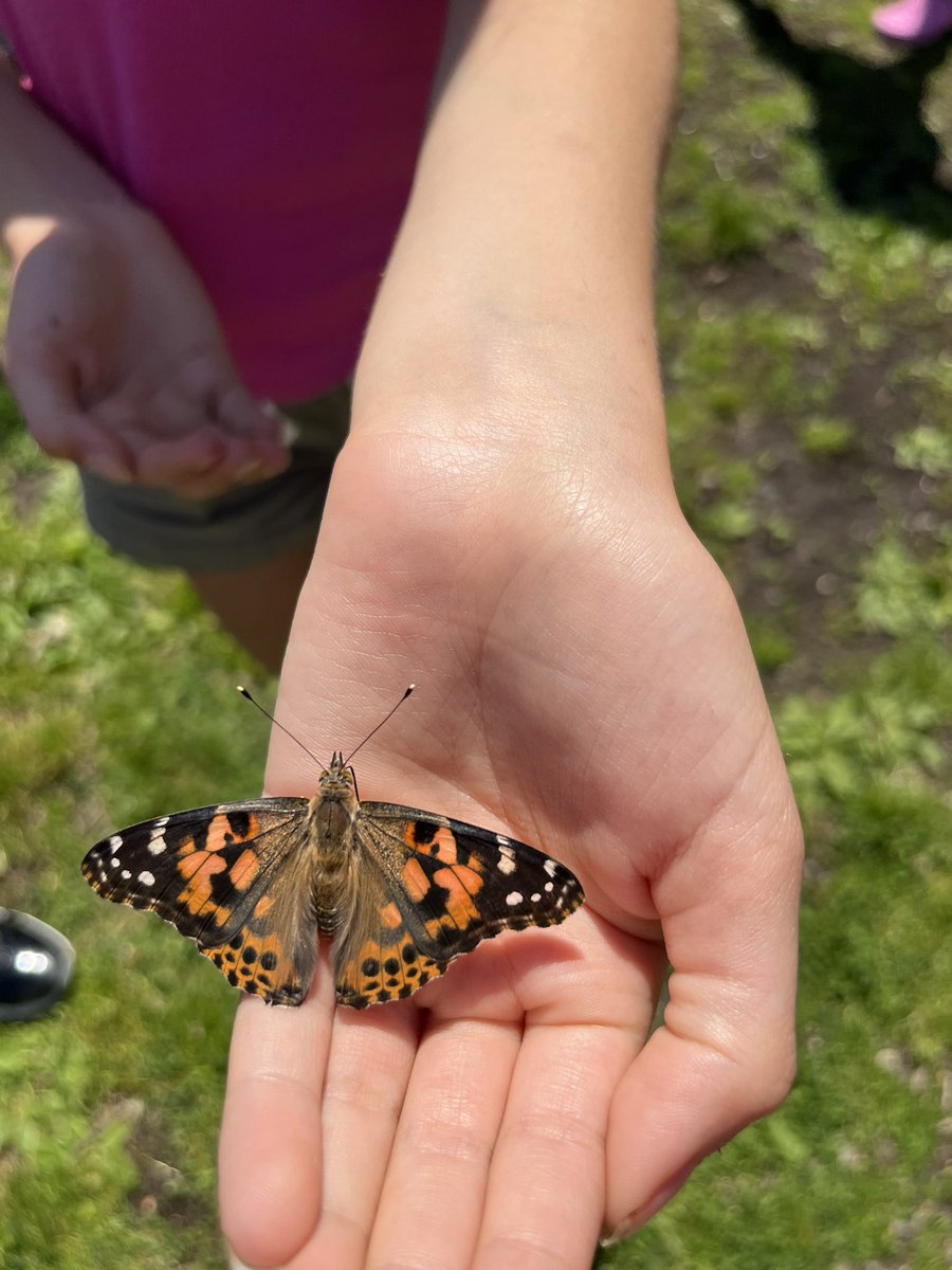 Ramona D'Aulisa (@rdaulisa) on Twitter photo A beautiful day to release our butterflies!! Fifth graders love an outdoor science experience!! <a href="/DrMChristiansen/">Matt Christiansen, Ed.D.</a> <a href="/DianeProvvido/">Diane Provvido</a> <a href="/OSchoolsPR/">Oceanside School District #OSD_NY</a> <a href="/OfficialNGSS/">Next Generation Science Standards</a> A beautiful day to release our butterflies!! Fifth graders love an outdoor science experience!! <a href="/DrMChristiansen/">Matt Christiansen, Ed.D.</a> <a href="/DianeProvvido/">Diane Provvido</a> <a href="/OSchoolsPR/">Oceanside School District #OSD_NY</a> <a href="/OfficialNGSS/">Next Generation Science Standards</a>