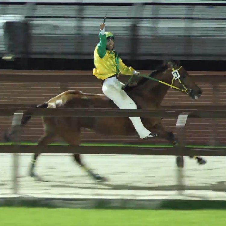 Contrada Sant'Ambrogio trionfa al 39esimo Memorial Favari!
Antonio Mula vince la “Provaccia” regalando una straordinaria vittoria alla sua contrada!
Ora ci prepariamo con rinnovato entusiasmo per il Palio di Legnano!
#MemorialFavari #Provaccia #PalioDiLegnano2024 #ViviamoPalio