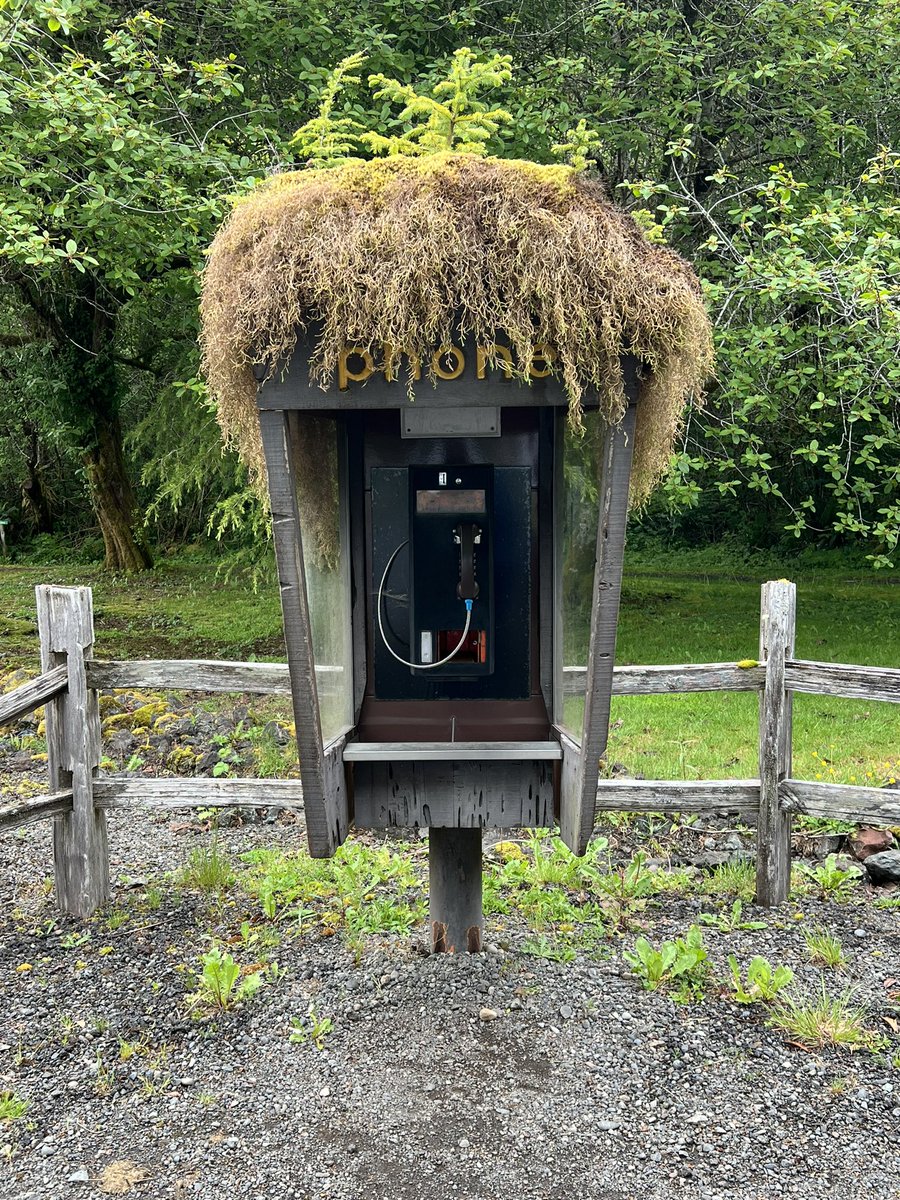 Since I couldn’t do the hike I wanted, I had time to spare so I went to the Forks Logging museum. Yes, that it a pay phone!! And yes, it rains A LOT here!!