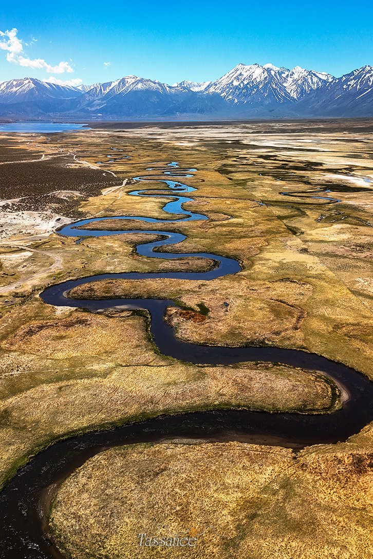 Aerial view of the owens river #droneflying #easternsierra #monocounty #flyfishing