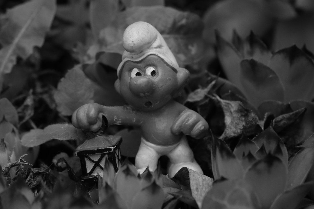 #photo #photography #blackandwhite #nature #monochrome #smurf #schlumpf #miniature #closeup #blackandwhite #schwarzweiss