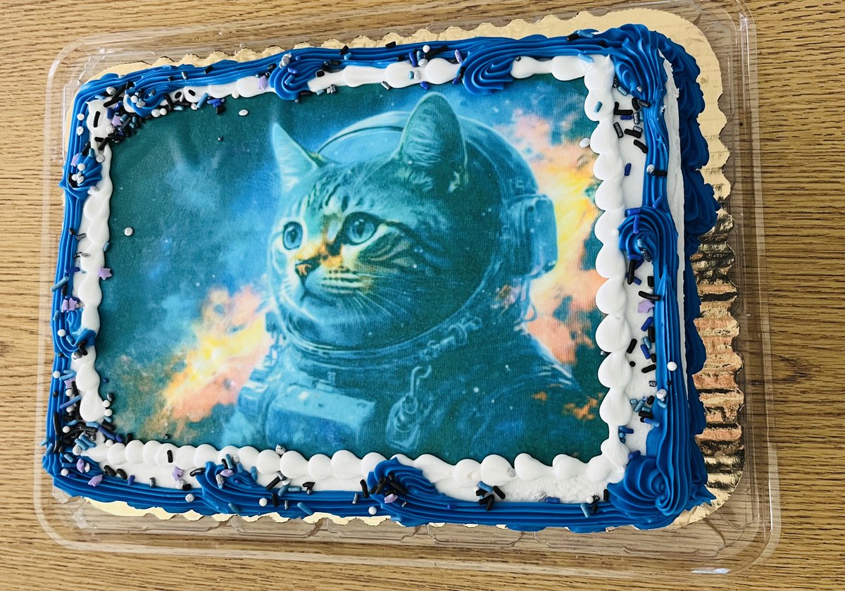 MrsSpeciale's tweet photo. The BEST 6th Period AP Lang class a teacher could ask for!!  Check out our amazing class and our beautiful and delicious SPACECAT cake. #APLang2024 #DHS #theycanhavetheircaketoo https://t.co/NSmJjIv1Nt