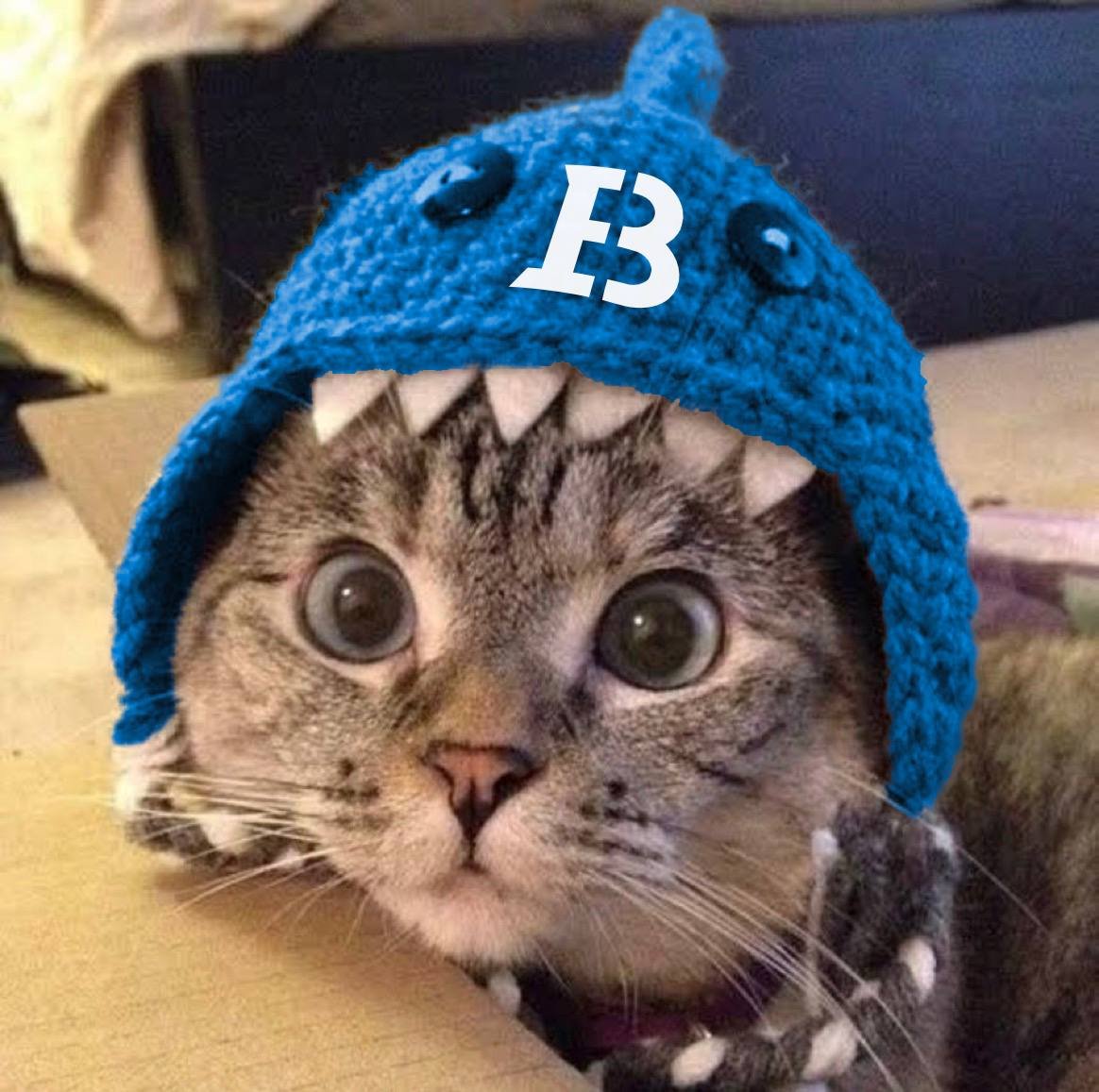 orama's tweet image. amazing news