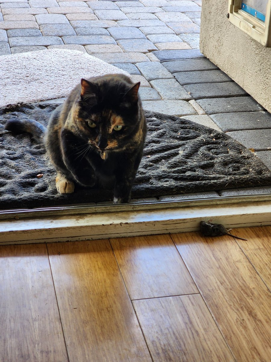 MomsterMel's tweet image. #FirstKill