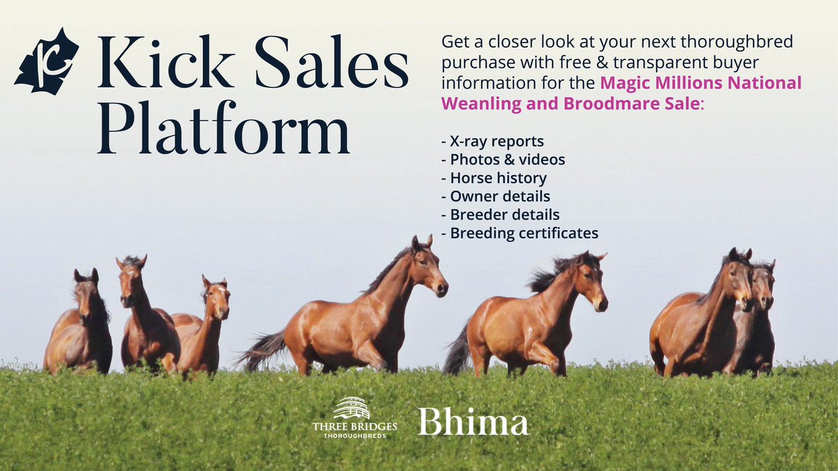 The Kick Sales Platform for @mmsnippets National Weanling and Broodmare Sale is now LIVE 🔥 View free and transparent buyer information for your next thoroughbred purchase! View the drafts of @bhimatbreds and @ThreeBridges1 here 👉 kicksalesplatform.com.au/sales