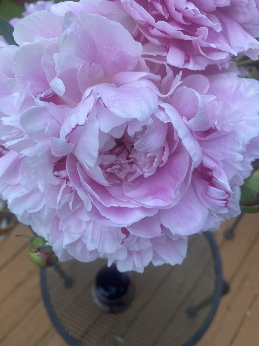 Mark Michael tweet media